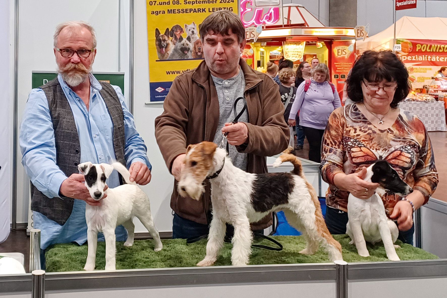 Hunde