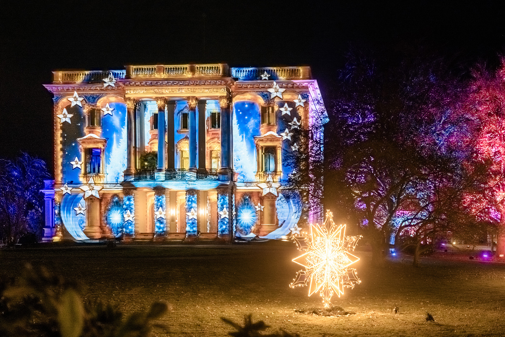 ChristmasGarden1