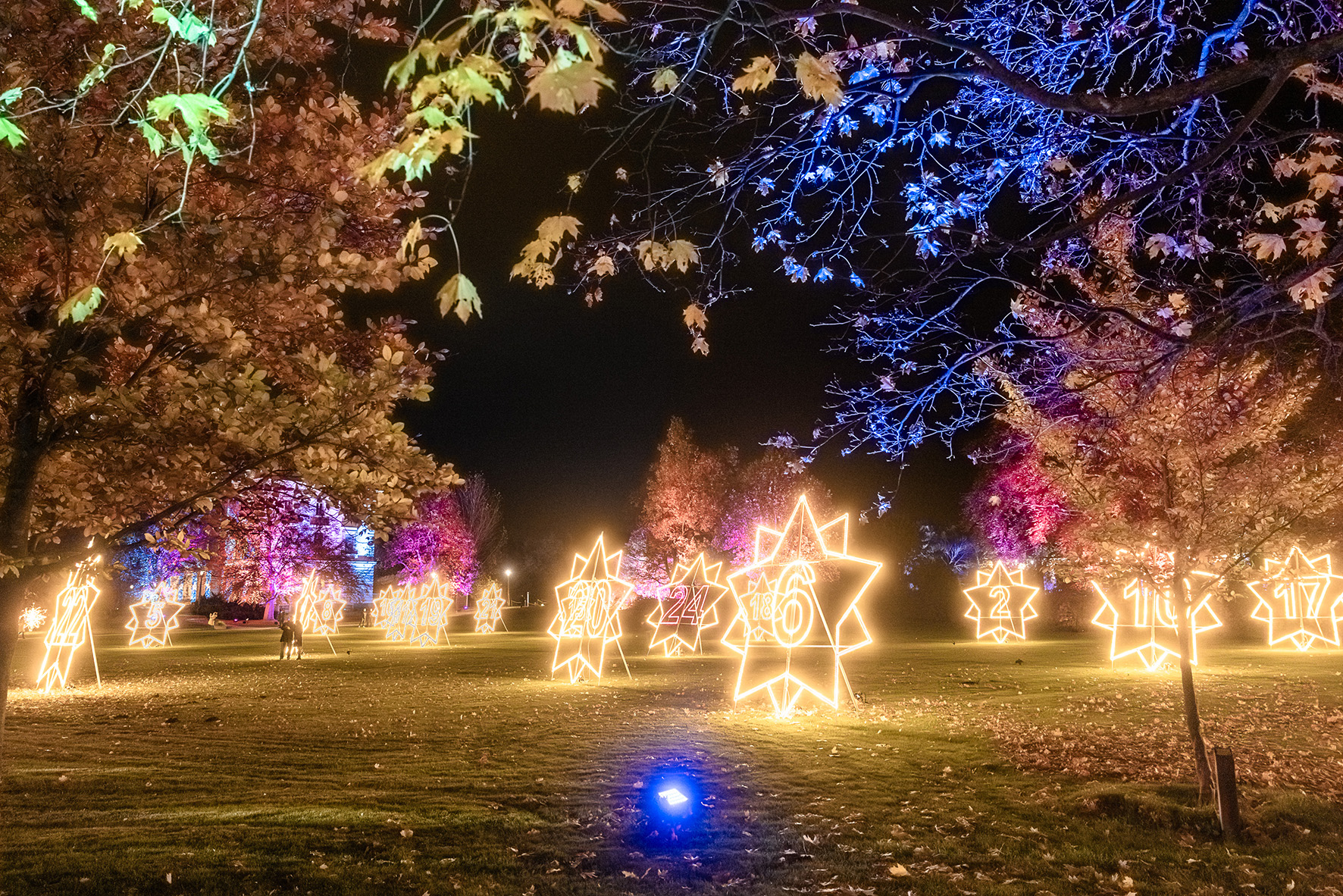 ChristmasGarden2