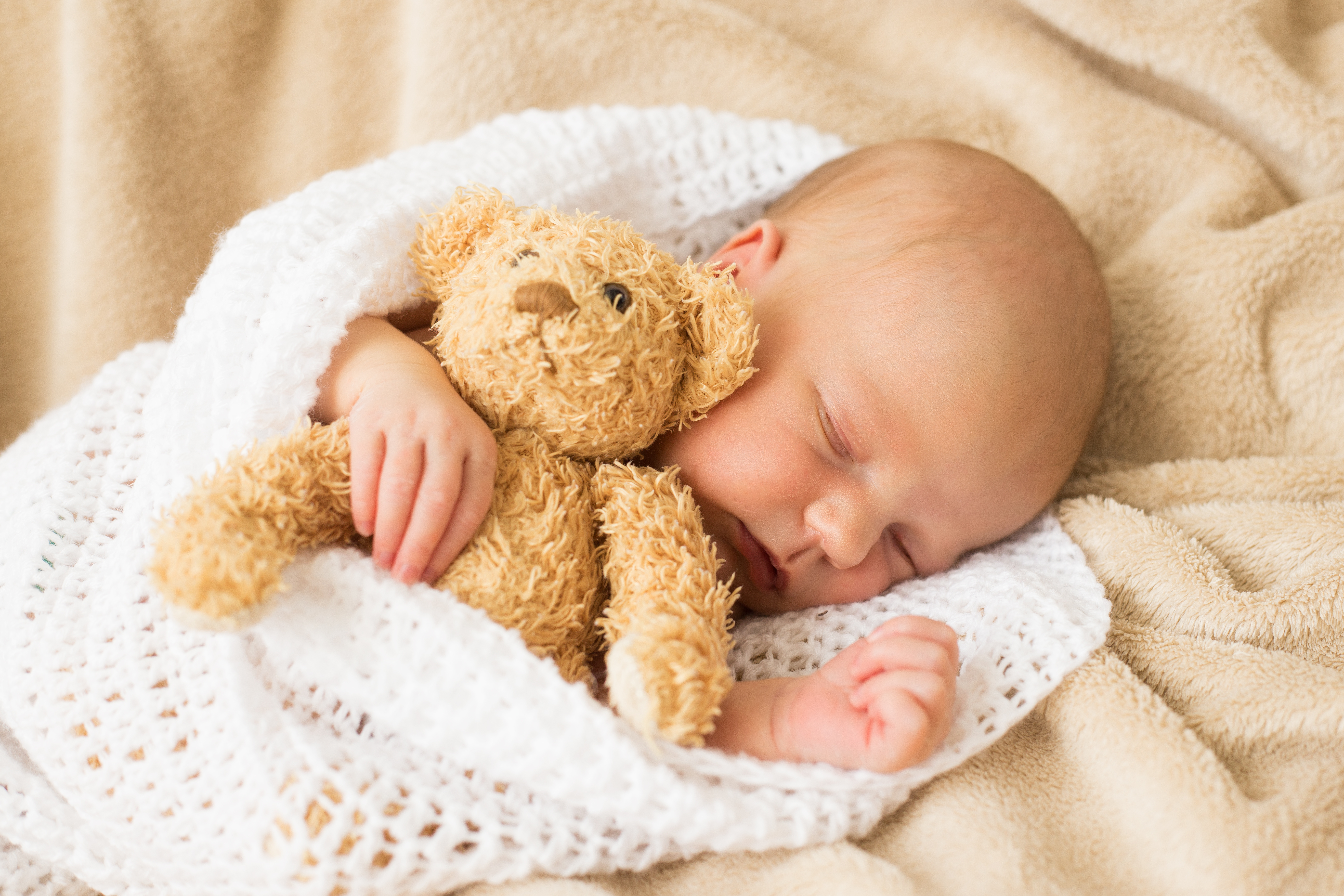 AdobeStock_116606224