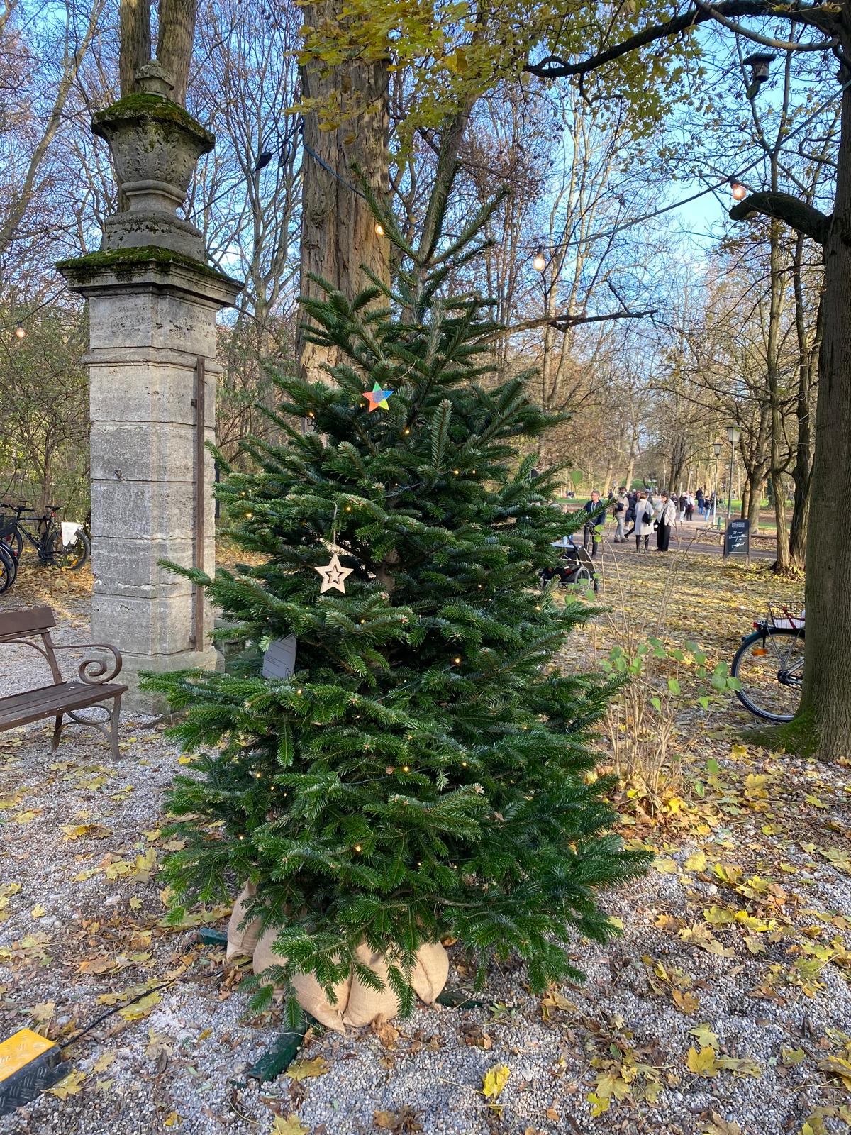 Sternenkinderbaum1